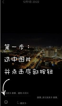 陈雨菲：我能做的就是全力以赴）
