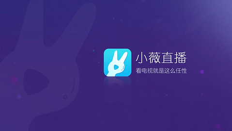 中国茶叶IPO终止！曾于2023年3月收到问询函，但回复迟迟未能挂网，保荐机构为中信建投证券